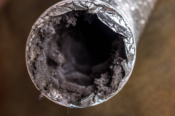 Best Dryer Vent Cleaning Services  in Lake Tapps, WA